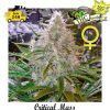 Critical-Mass-375×400