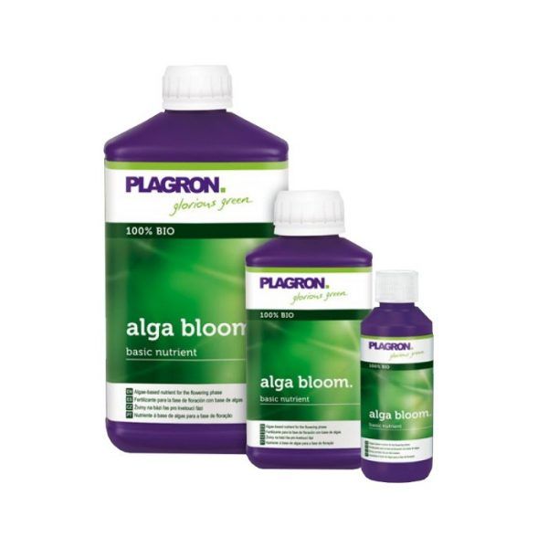 alga-bloom