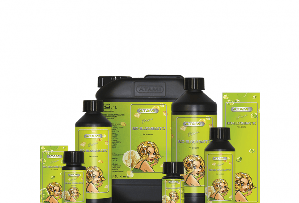 bio-bllom1-992×675