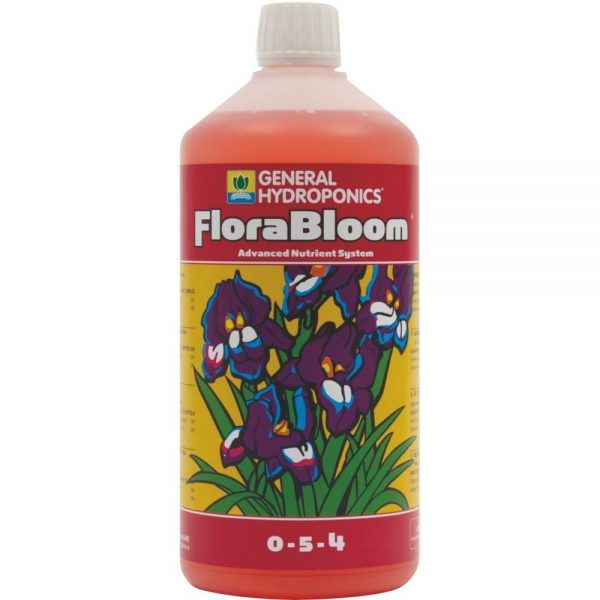 flora-bloom-ghe_292_1
