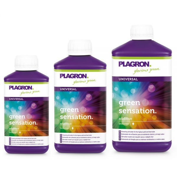 plagron_green_sensation