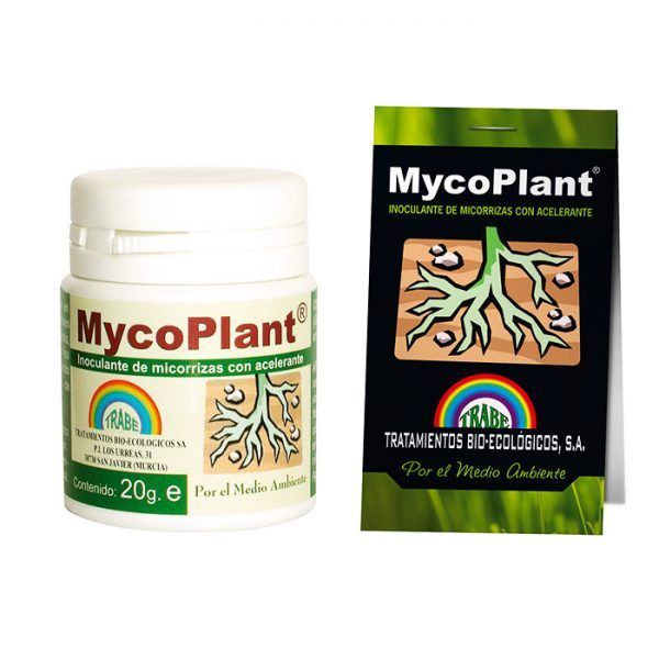 Trabe_MycoPlant-Polvo-Grow