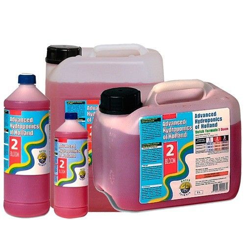 dutch-formula-bloom-2