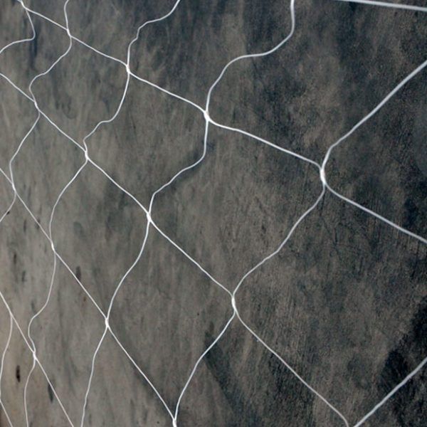 575012-600×600