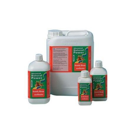 growthbloom-excellerator