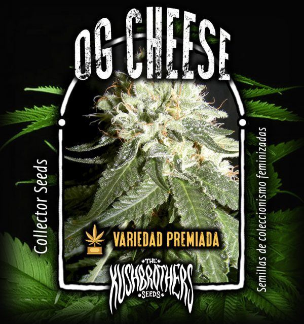OG-Cheese