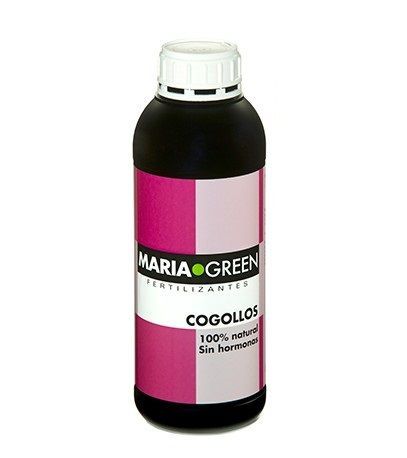 maria-green-cogollos