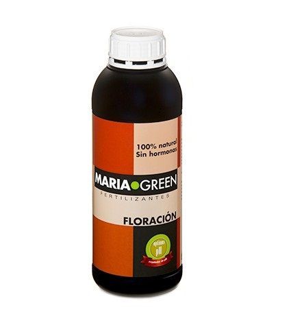 maria-green-floracion
