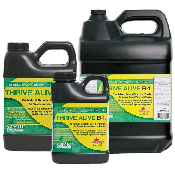 thrive_alive_b1_green