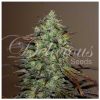 Delicious_Eleven_Roses_fem_BDL.037_zhj7-16