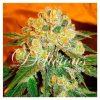 Delicious_Seeds_Marmalate_BDL.017_f59l-ks